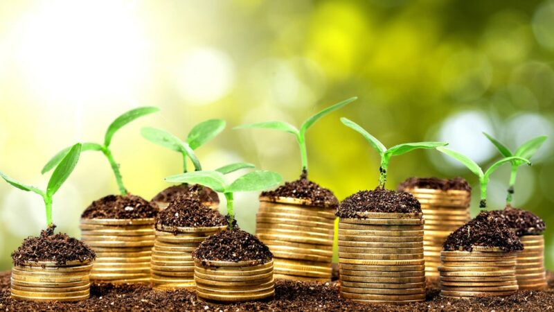 2017 : enregistrement de 100 milliards d&rsquo;obligations vertes