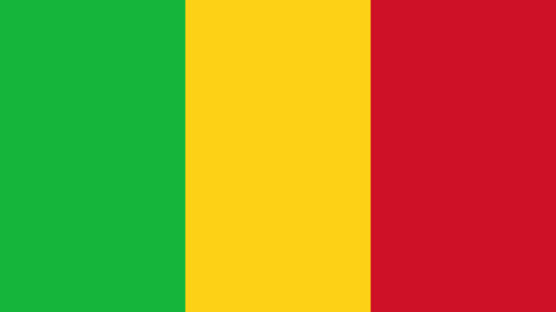 Mali : Aliou Diallo dévoile un ambitieux programme d’investissements pour la paix