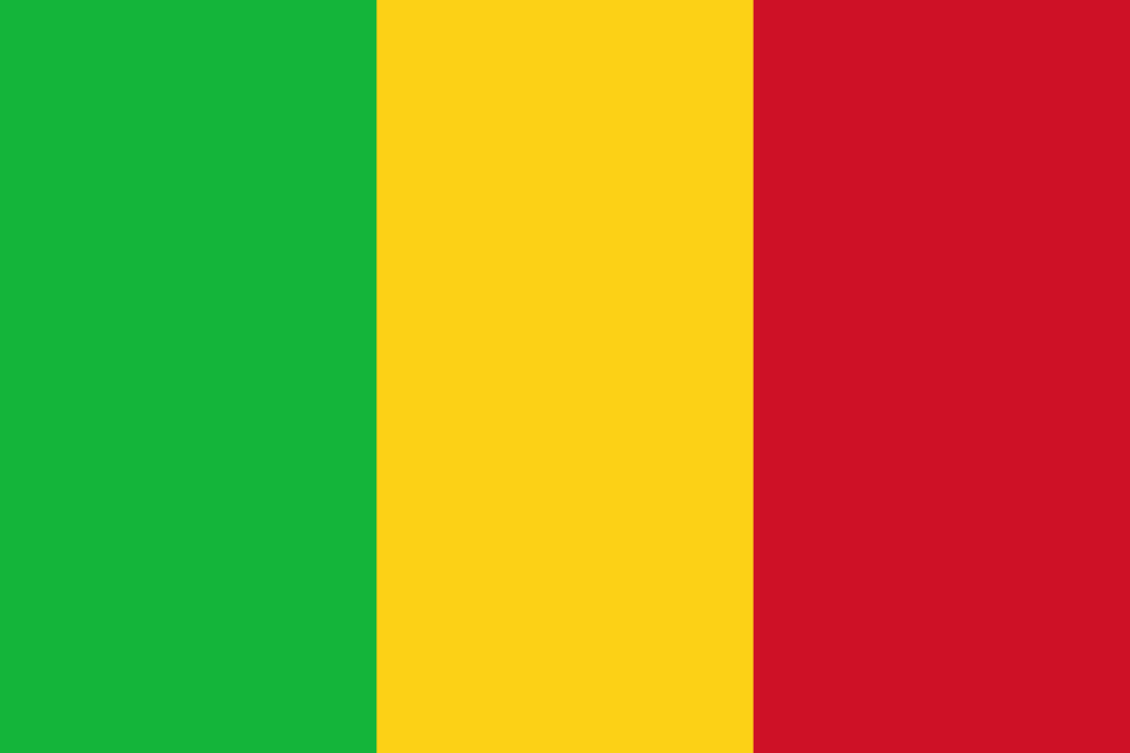 Mali : Aliou Diallo dévoile un ambitieux programme d’investissements pour la paix