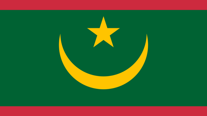 Mohamed Ould Bouamatou : l’empire du self-made man mauritanien
