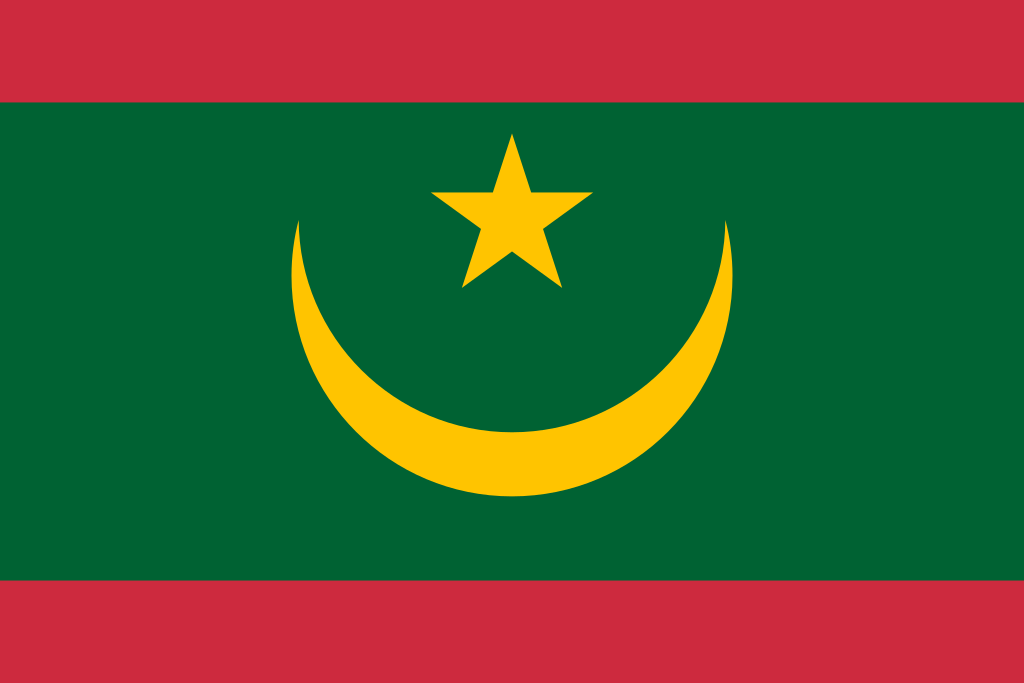 Mohamed Ould Bouamatou : l’empire du self-made man mauritanien