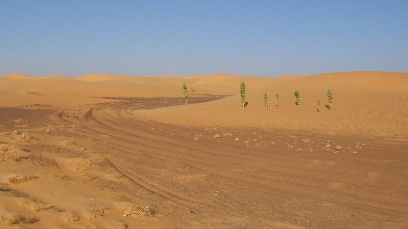 Mauritanie : les poursuites contre Mohamed Ould Bouamatou annulées