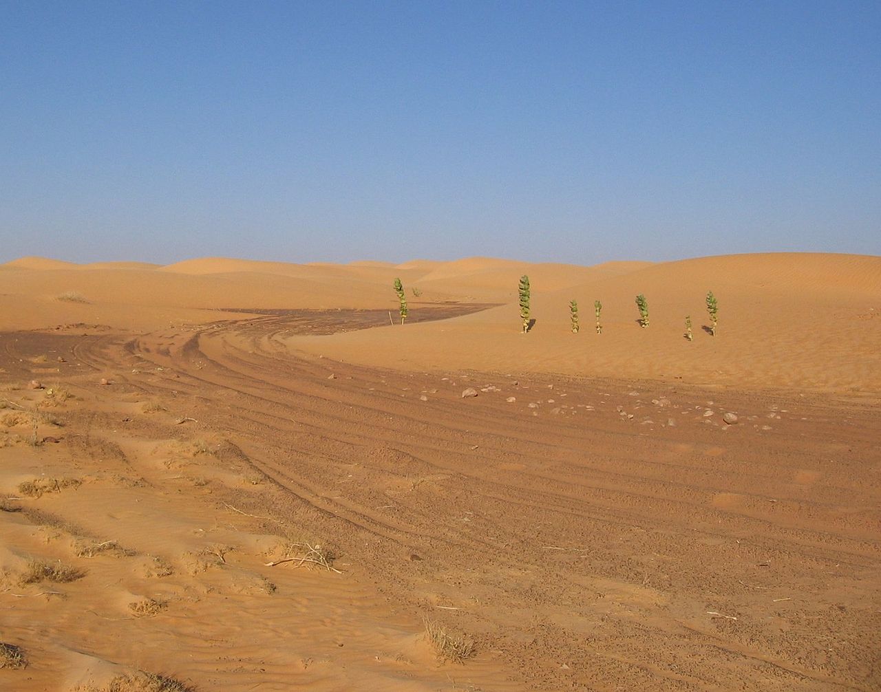Mauritanie : les poursuites contre Mohamed Ould Bouamatou annulées