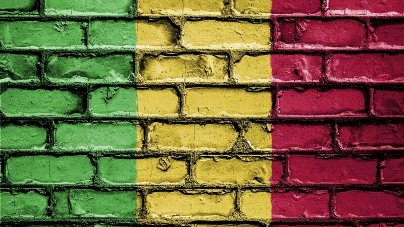 Sortie de crise au Mali : Aliou Boubacar Diallo inspire de la crédibilité