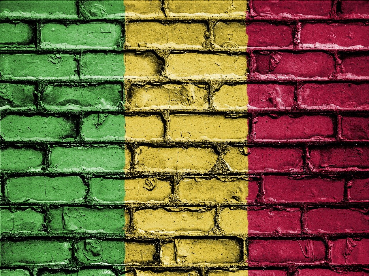 Sortie de crise au Mali : Aliou Boubacar Diallo inspire de la crédibilité