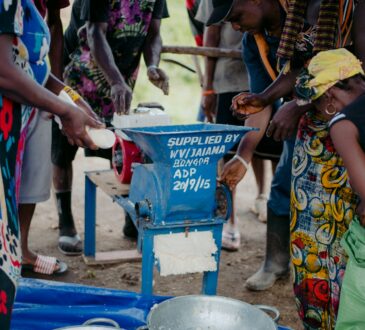 Une coopérative de femmes en Sierra Leone