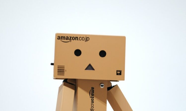 Bonhomme Amazon en carton.