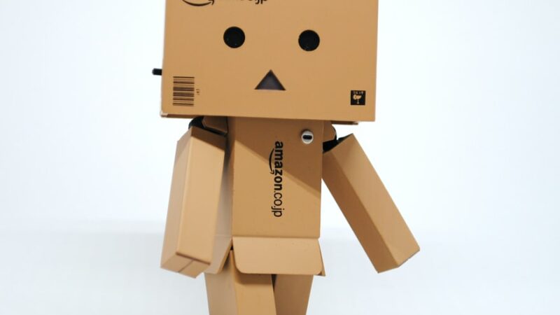 Black Friday et consumérisme : Amazon victime de boycott