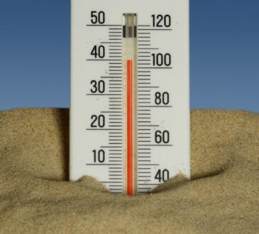 Canicule