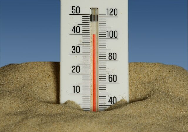 Canicule